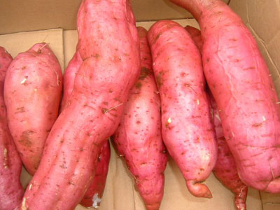 sweet potato