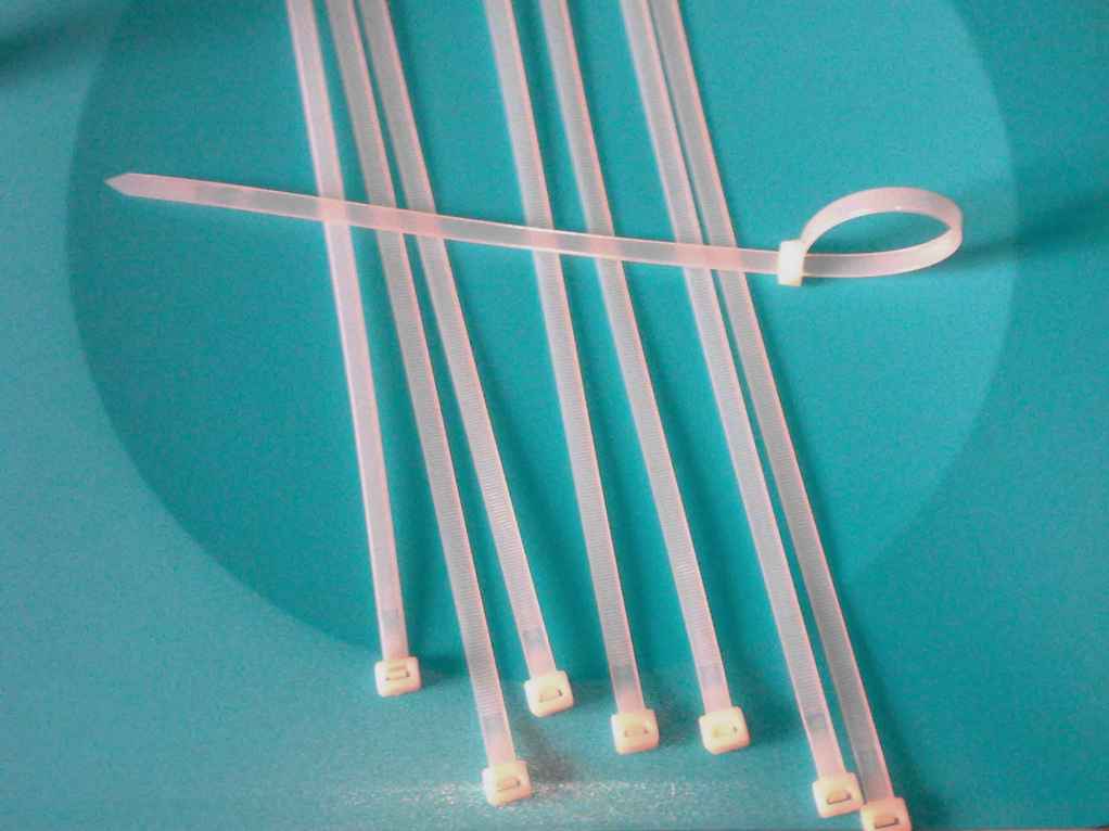 Nylon Cable Ties