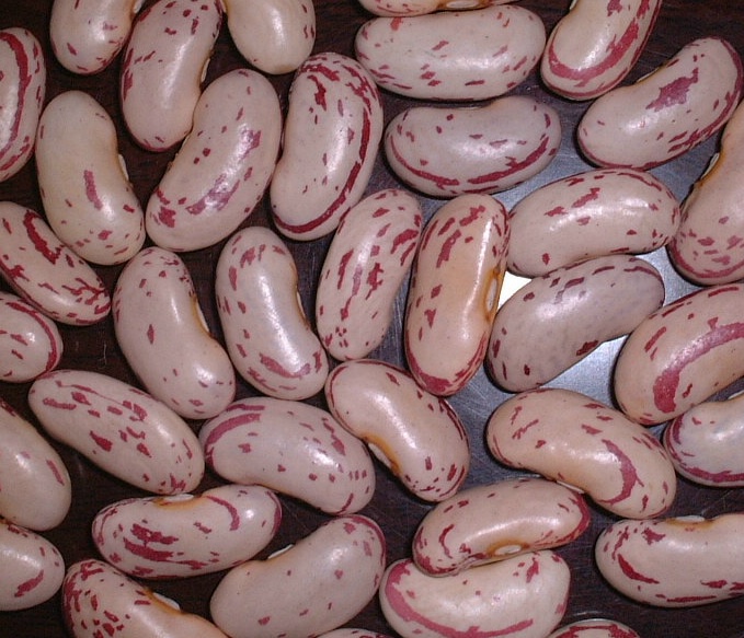 beans