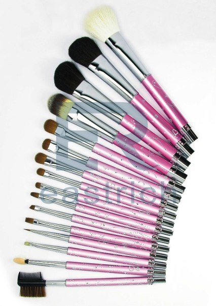 Pink Makeup brush set