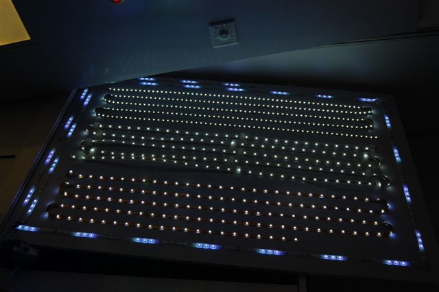 LED strips