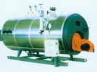 Fuel (gas) pressure hot water boiler