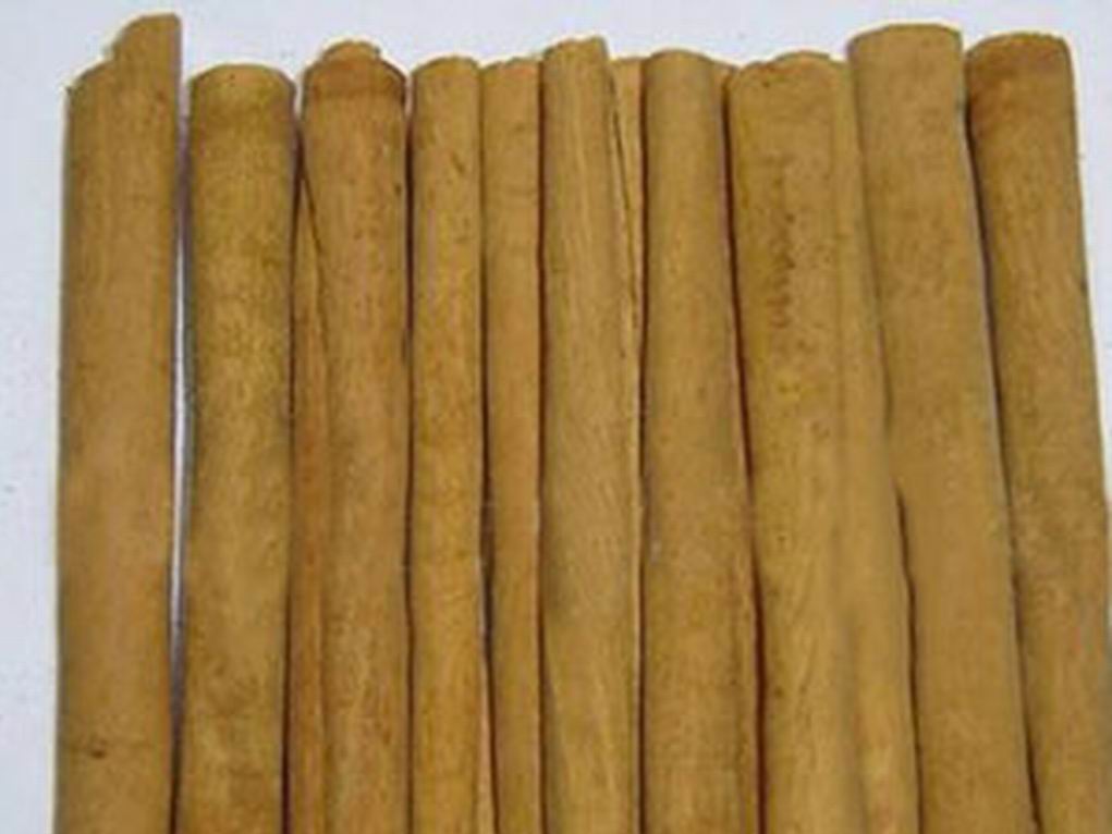 Spices Cassia Stick