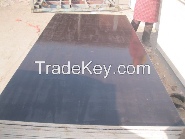 Black Film Faced Plywood