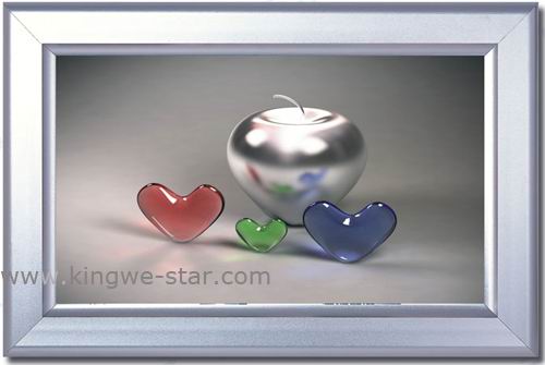 Aluminum frame LED light box