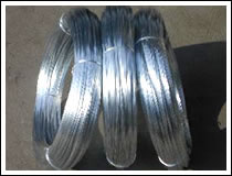 Galvanized Wire