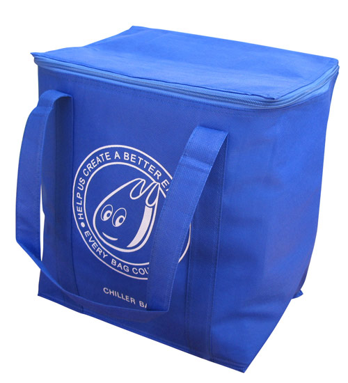 Cooler bag