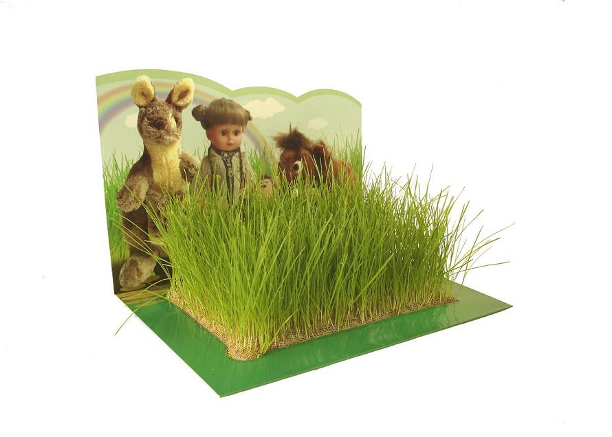 GRASS GRWOING CARD