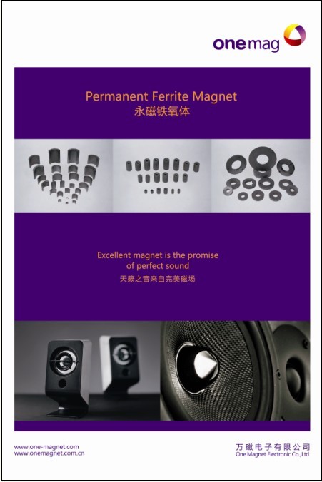 Permanent Ferrite Magnet