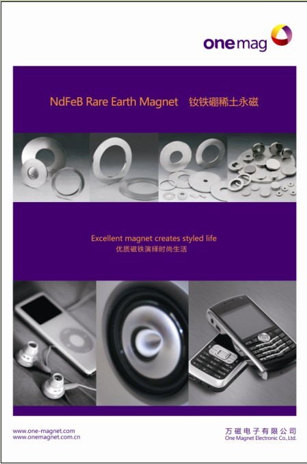 NdFeB Rare Earth Magnet