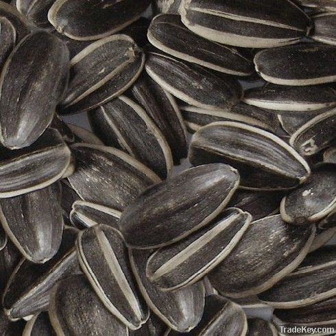 Sunflower Seeds