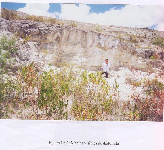 diatomite