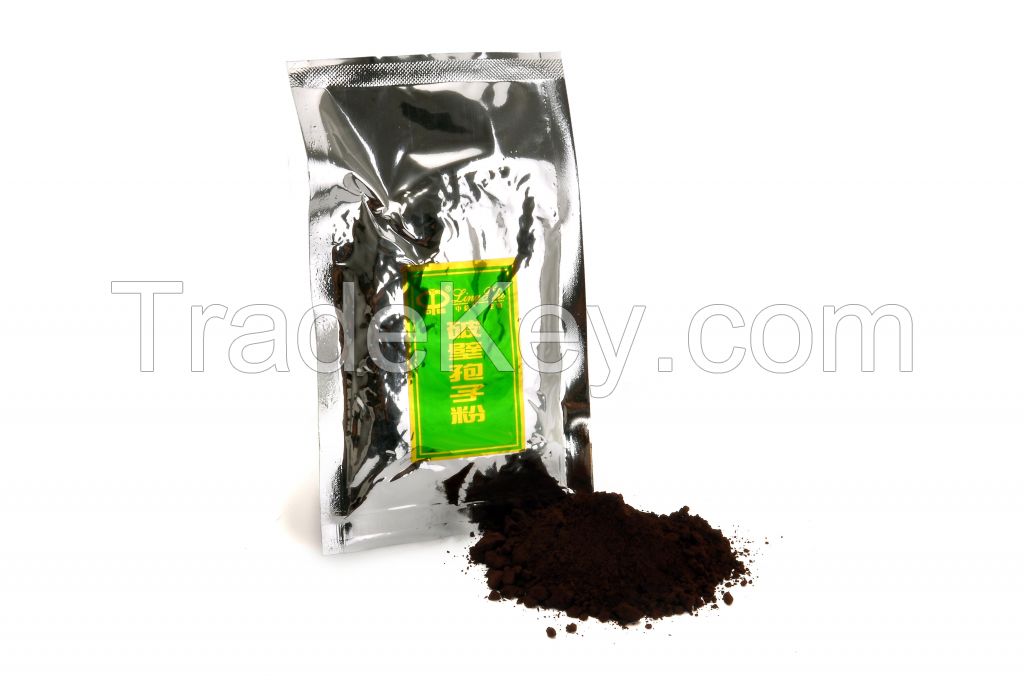 Ganoderma lucidum shell borken spore powder