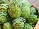 Artichoke Extract