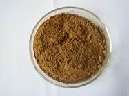 White birch bark extract