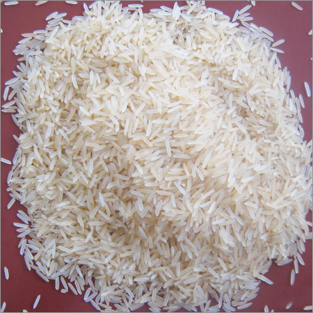 Supplier of Golden Rice
