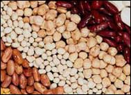 white beans and dry foods