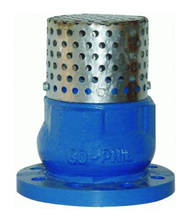 cast iron foot valve