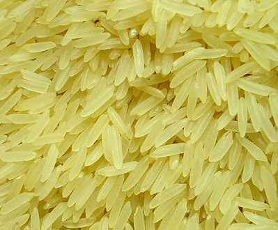 RICE SUPPLIER| PARBOILED RICE IMPORTERS| IMPORT BASMATI RICE|  BASMATI RICE EXPORTER| KERNAL RICE WHOLESALER| WHITE RICE MANUFACTURER| LONG GRAIN TRADER| BROKEN RICE BUYER| BUY KERNAL RICE| WHOLESALE WHITE RICE| LOW PRICE LONG GRAIN