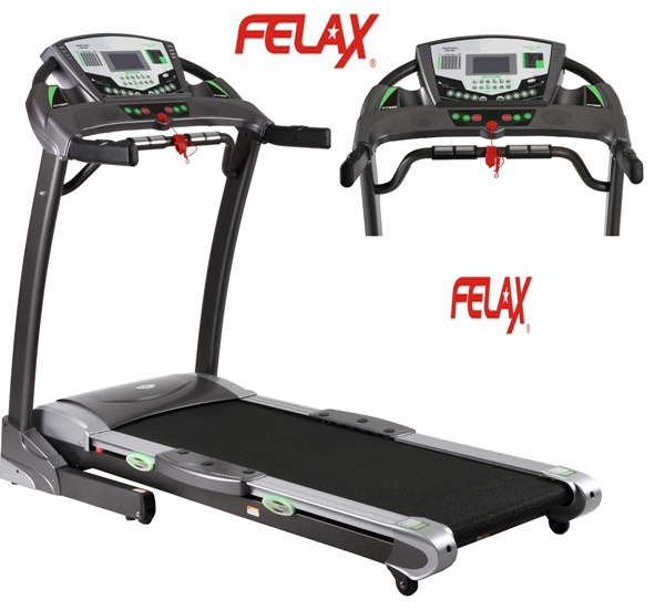 Motorized Treadmill DT 1520