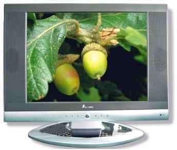 20" LCD TV