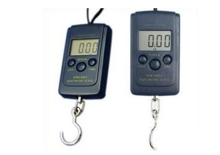 NEW Digital Handy Scales Luggage Fishing 40kg 88Lb 1410oz