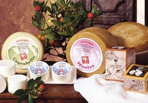 Typical Italian Cheese & Dairy from Sheep's Milk
