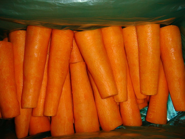 carrot