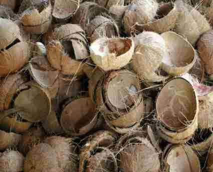 coconut shell power, charcoal powder, coir fibre