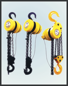 DHP electric chain hoist