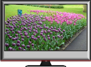 LED TV 18.5''