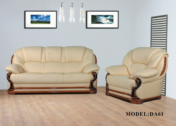 leather sofa-DA61