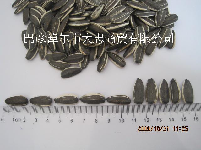 Sunflower Seeds