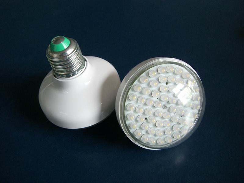 LED light/LED lighting