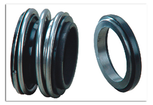 mechanical seal & auxiliary system and pump