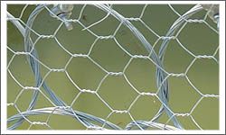 Sell Hexagonal Wire mesh