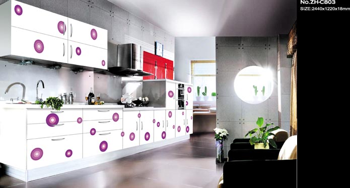 Introduction of HIGH GLOSS DECORATIVE PANELS
