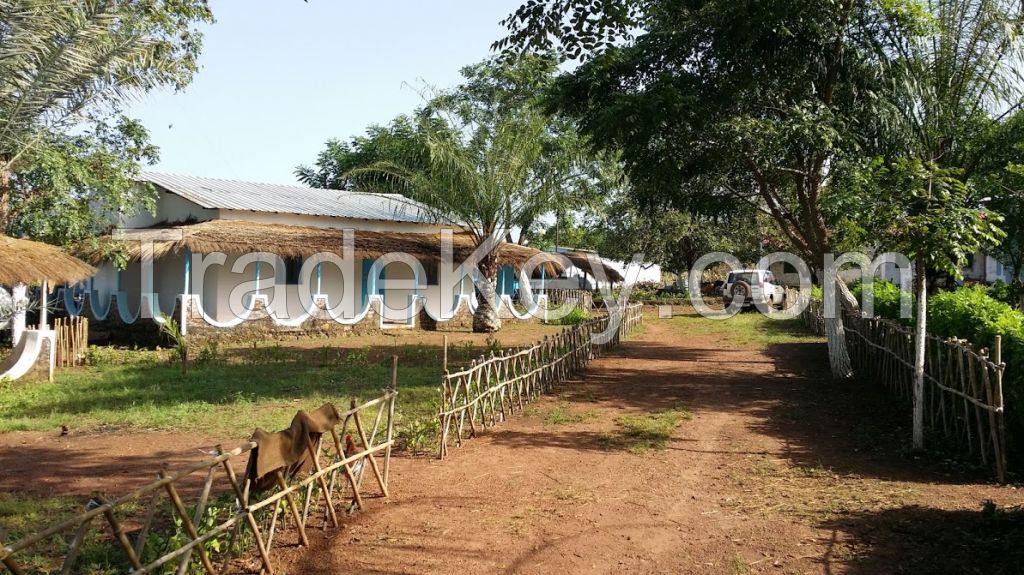 dried raw cashew nuts from Guinea Bissau