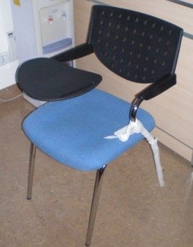 Training Chair
