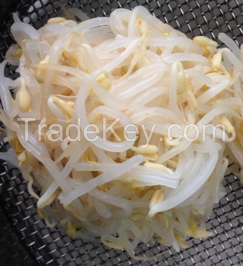 Canned Mung bean sprouts