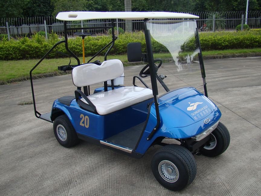 Golf cart (2 seaters)
