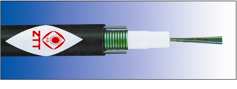 optical fiber/ optical fiber cable