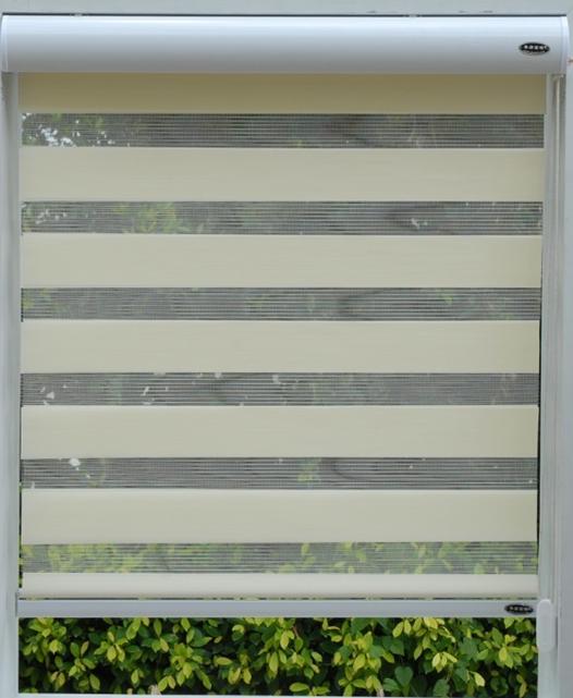 Elegant dual sheer zebra  blinds