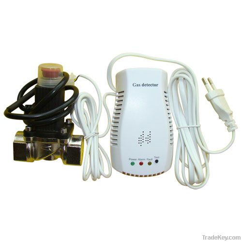 AC 220V or 110V CE approved network Gas Leak Detector wit