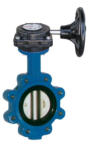 Worm Gear Lugged Butterfly Valve