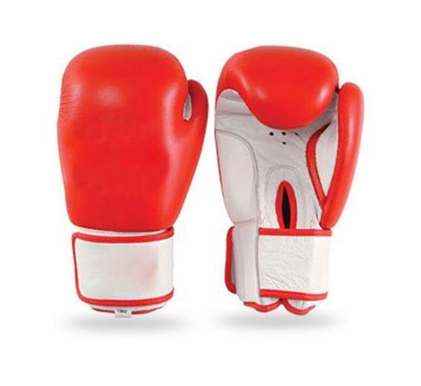 Boxing Gloves # 00-307