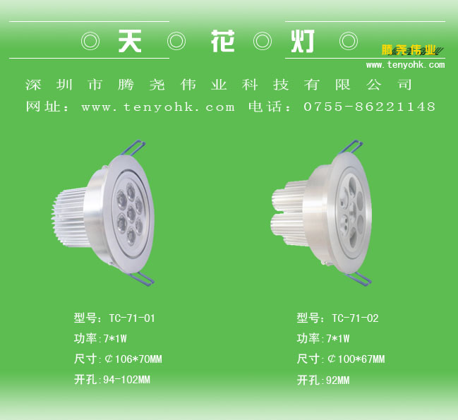 LED Ceiling Lights