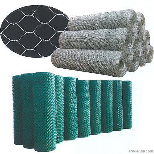 Steel Hexagonal Netting