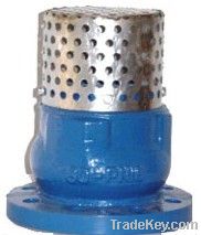 Foot Valve Check with Strainer