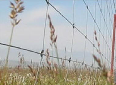 Grassland Fence